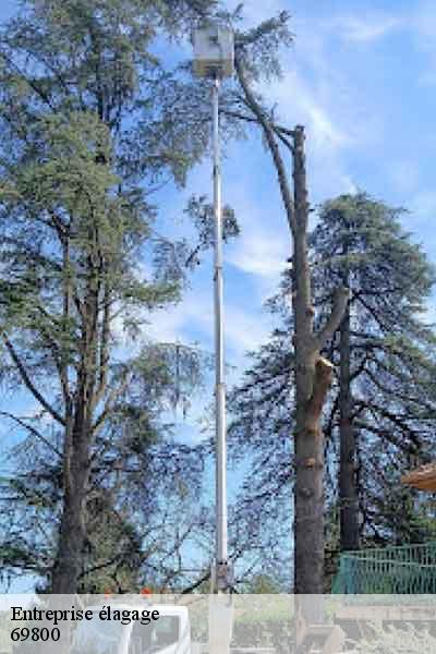 Entreprise élagage  saint-priest-69800 Balland élagueur paysagiste