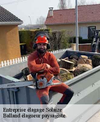 Entreprise élagage  solaize-69360 Balland élagueur paysagiste