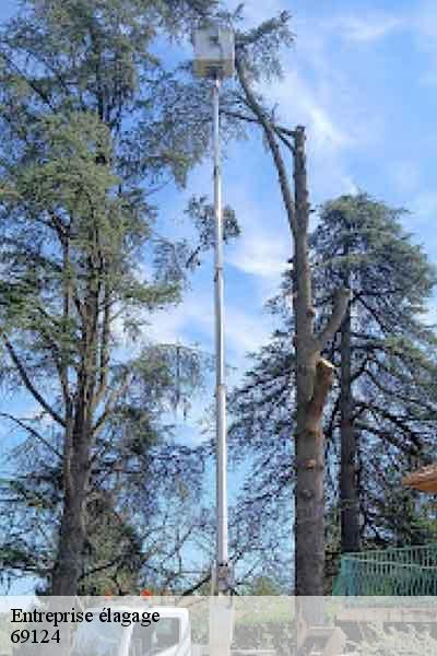 Entreprise élagage  colombier-saugnieu-69124 Balland élagueur paysagiste