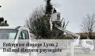 Entreprise élagage  lyon-2-69002 Balland élagueur paysagiste