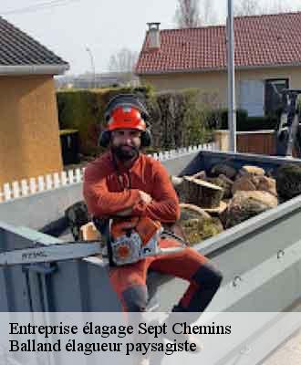 Entreprise élagage  sept-chemins-69390 Balland élagueur paysagiste