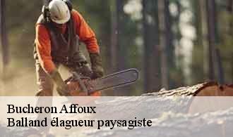 Bucheron  affoux-69170 Balland élagueur paysagiste
