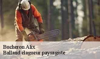 Bucheron  alix-69380 Balland élagueur paysagiste