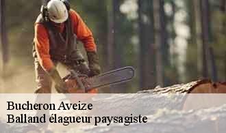 Bucheron  aveize-69610 Balland élagueur paysagiste