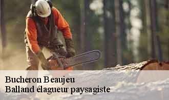 Bucheron  beaujeu-69430 Balland élagueur paysagiste