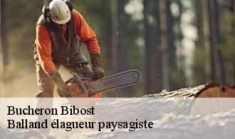 Bucheron  bibost-69690 Balland élagueur paysagiste