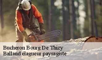 Bucheron  bourg-de-thizy-69240 Balland élagueur paysagiste