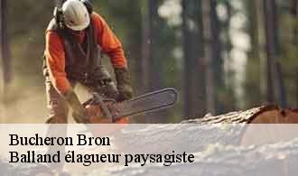Bucheron  bron-69500 Balland élagueur paysagiste