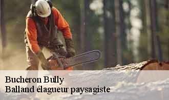 Bucheron  bully-69210 Balland élagueur paysagiste