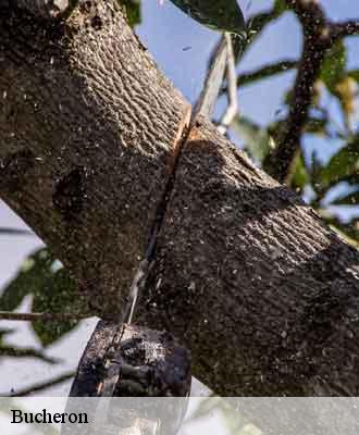 Bucheron  cailloux-sur-fontaines-69270 Balland élagueur paysagiste