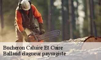 Bucheron caluire-et-cuire-69300 Balland élagueur paysagiste