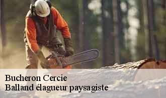 Bucheron  cercie-69220 Balland élagueur paysagiste