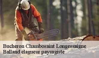 Bucheron  chambosaint-longessaigne-69770 Balland élagueur paysagiste