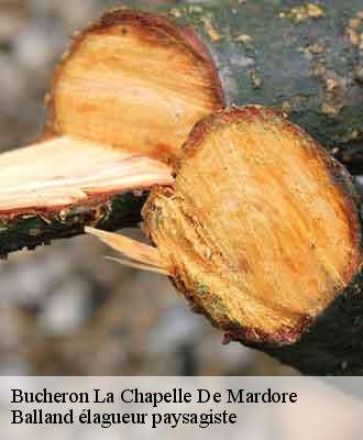 Bucheron  la-chapelle-de-mardore-69240 Balland élagueur paysagiste