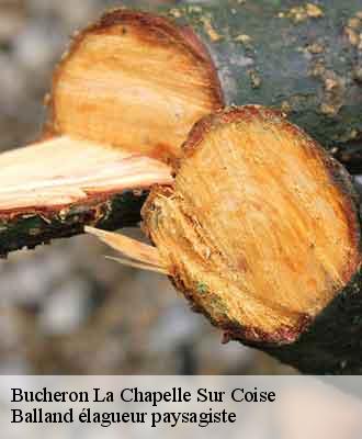 Bucheron  la-chapelle-sur-coise-69590 Balland élagueur paysagiste