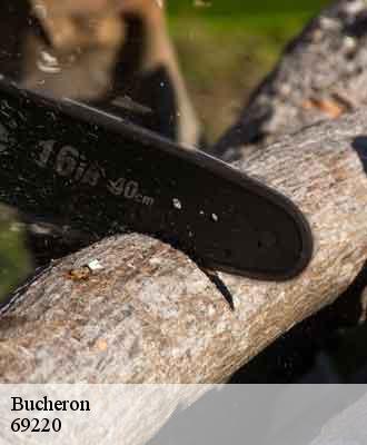 Bucheron  charentay-69220 Balland élagueur paysagiste