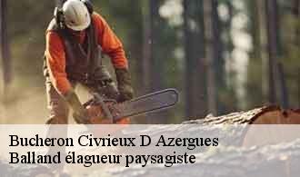Bucheron  civrieux-d-azergues-69380 Balland élagueur paysagiste