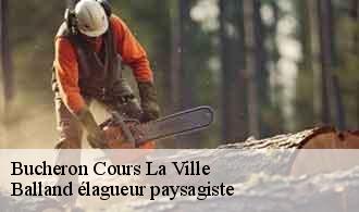 Bucheron cours-la-ville-69470 Balland élagueur paysagiste