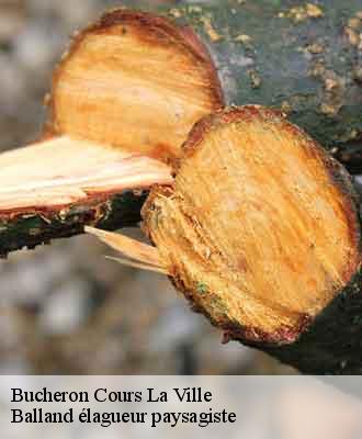Bucheron cours-la-ville-69470 Balland élagueur paysagiste