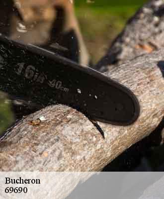 Bucheron  courzieu-69690 Balland élagueur paysagiste