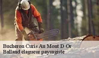 Bucheron  curis-au-mont-d-or-69250 Balland élagueur paysagiste