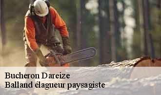 Bucheron  dareize-69490 Balland élagueur paysagiste