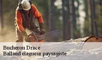 Bucheron  drace-69220 Balland élagueur paysagiste