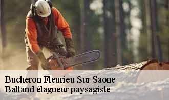 Bucheron  fleurieu-sur-saone-69250 Balland élagueur paysagiste