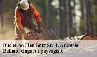 Bucheron  fleurieux-sur-l-arbresle-69210 Balland élagueur paysagiste