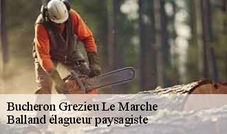 Bucheron  grezieu-le-marche-69610 Balland élagueur paysagiste