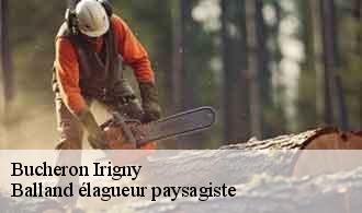 Bucheron  irigny-69540 Balland élagueur paysagiste