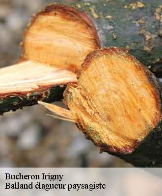 Bucheron  irigny-69540 Balland élagueur paysagiste