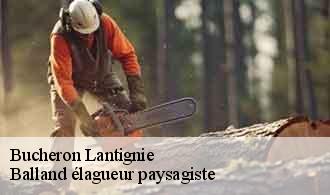 Bucheron  lantignie-69430 Balland élagueur paysagiste