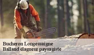 Bucheron  longessaigne-69770 Balland élagueur paysagiste