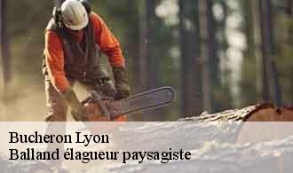 Bucheron  lyon-69000 Balland élagueur paysagiste
