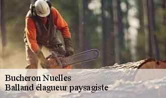 Bucheron  nuelles-69210 Balland élagueur paysagiste