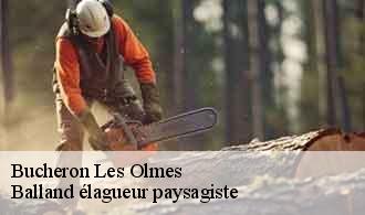 Bucheron  les-olmes-69490 Balland élagueur paysagiste