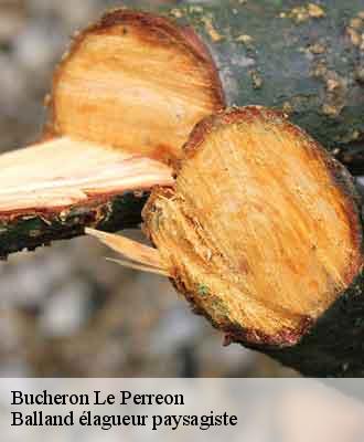Bucheron  le-perreon-69460 Balland élagueur paysagiste