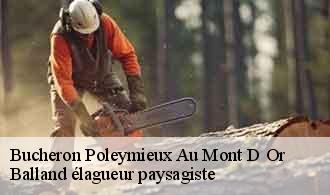 Bucheron  poleymieux-au-mont-d-or-69250 Balland élagueur paysagiste