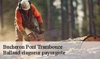 Bucheron  pont-trambouze-69240 Balland élagueur paysagiste