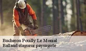 Bucheron  pouilly-le-monial-69400 Balland élagueur paysagiste