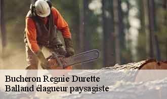 Bucheron  regnie-durette-69430 Balland élagueur paysagiste