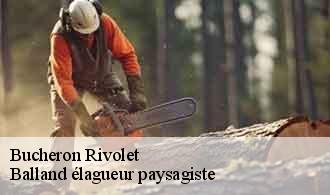 Bucheron  rivolet-69640 Balland élagueur paysagiste