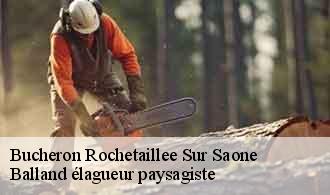 Bucheron  rochetaillee-sur-saone-69270 Balland élagueur paysagiste