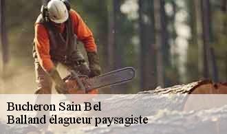 Bucheron sain-bel-69210 Balland élagueur paysagiste