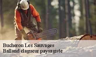 Bucheron  les-sauvages-69170 Balland élagueur paysagiste