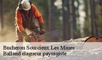 Bucheron  sourcieux-les-mines-69210 Balland élagueur paysagiste
