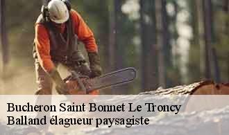 Bucheron  saint-bonnet-le-troncy-69870 Balland élagueur paysagiste