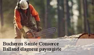 Bucheron sainte-consorce-69280 Balland élagueur paysagiste