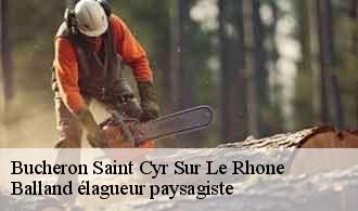 Bucheron  saint-cyr-sur-le-rhone-69560 Balland élagueur paysagiste